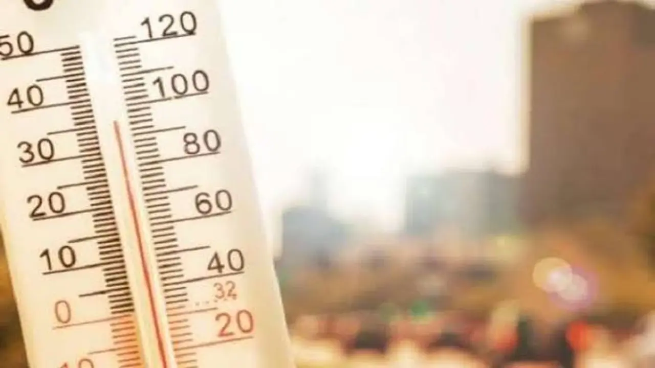 أجواء ربيعية ليلاً ونشاط للرياح يمتد ليشمل مناطق القاهرة الكبرى